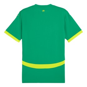 Fotbalové dres Senegal Venkovní 2024-25 Krátký Rukáv